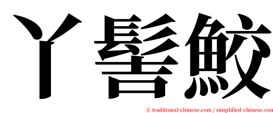 丫髻鮫 serif font