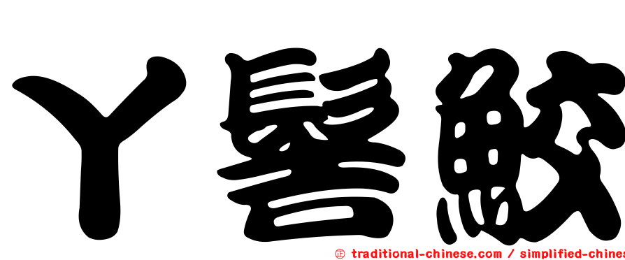 丫髻鮫