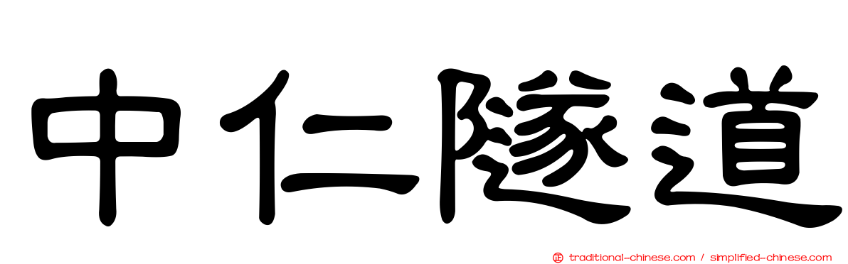 中仁隧道
