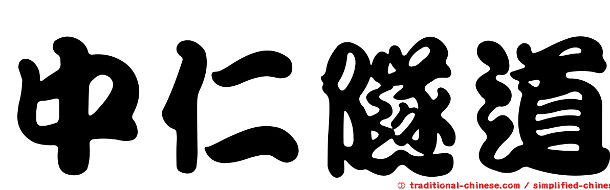 中仁隧道