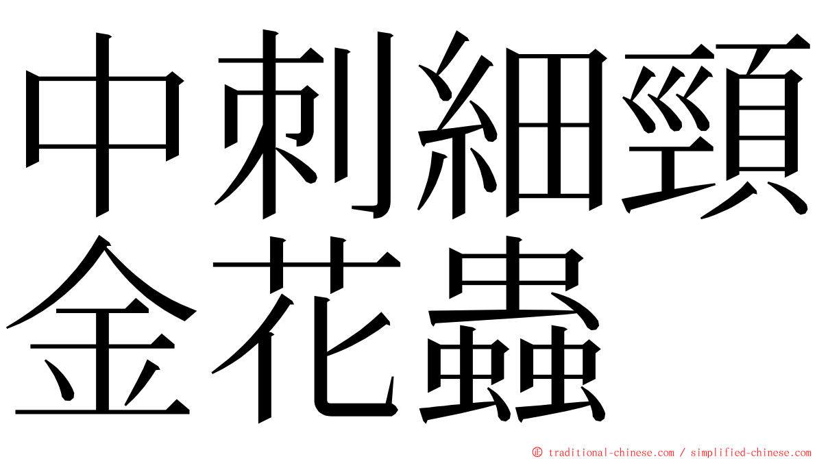 中刺細頸金花蟲 ming font