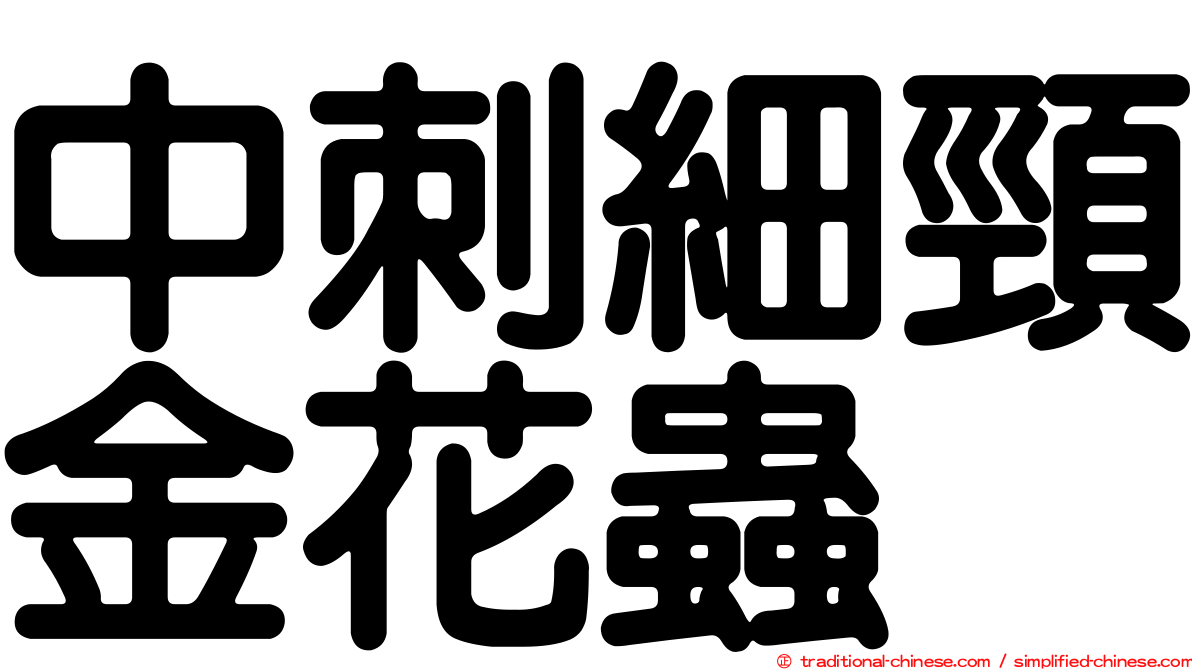 中刺細頸金花蟲