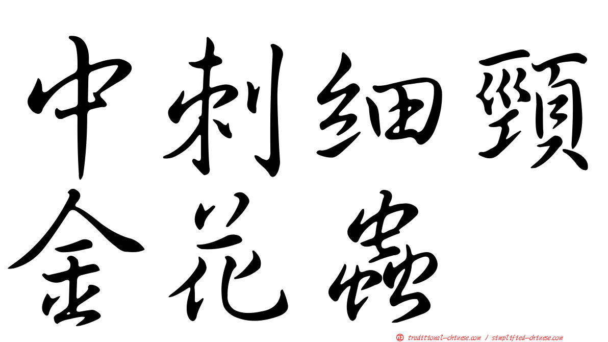 中刺細頸金花蟲