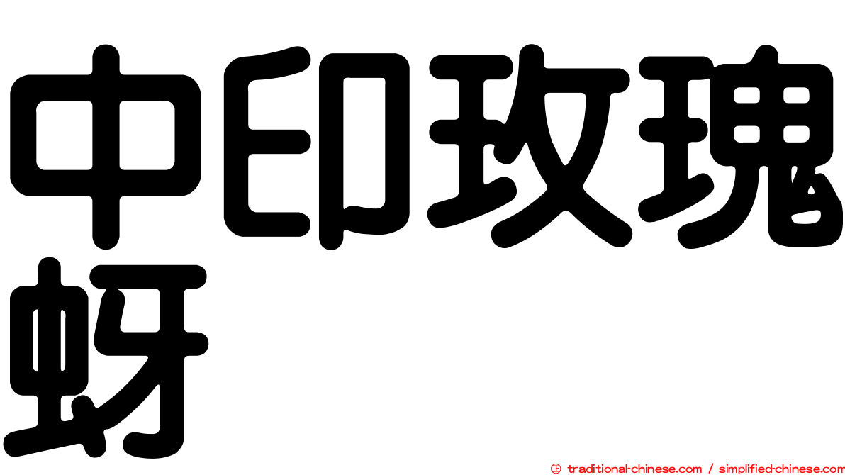 中印玫瑰蚜