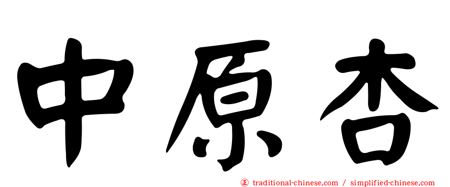 中原杏