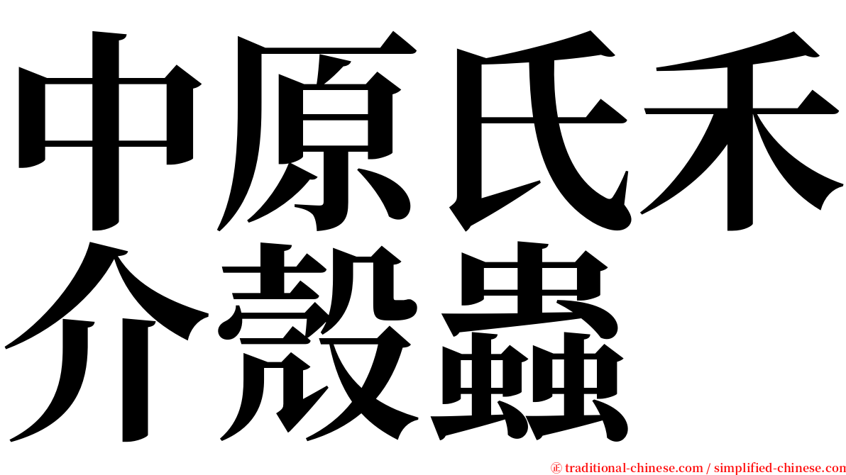 中原氏禾介殼蟲 serif font