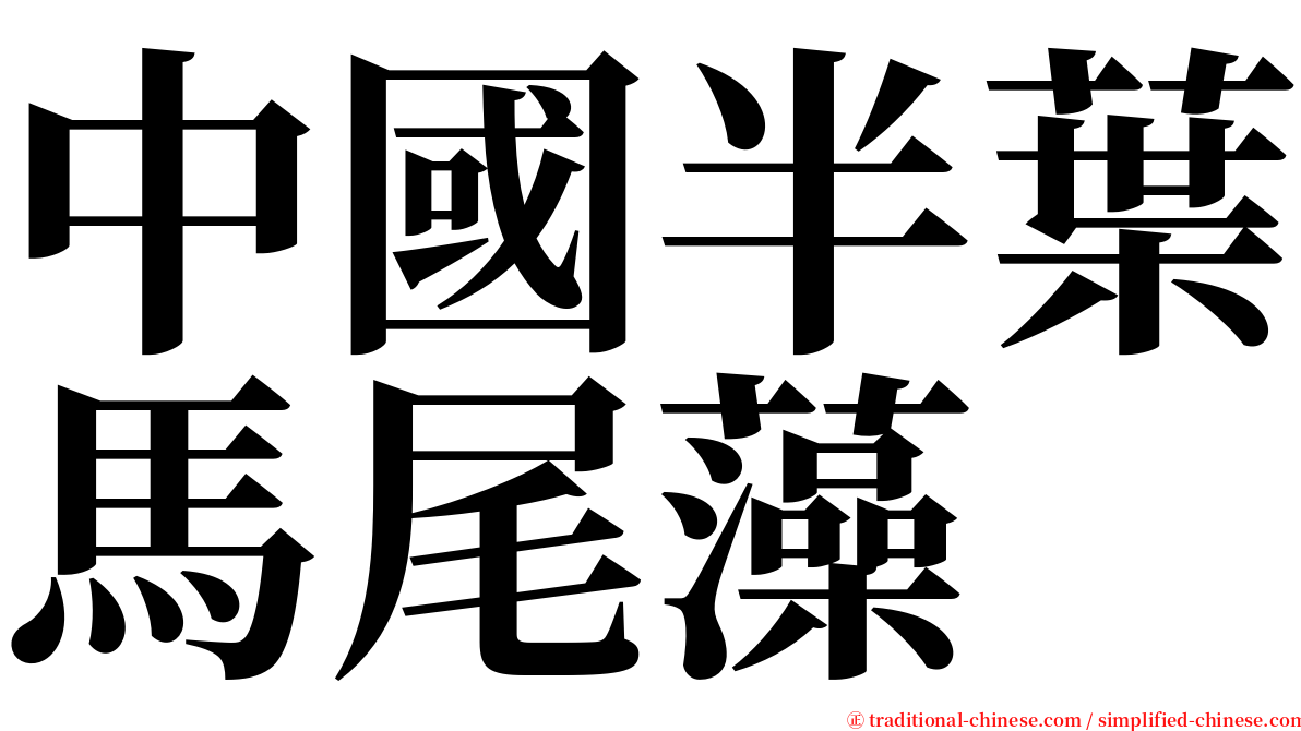 中國半葉馬尾藻 serif font