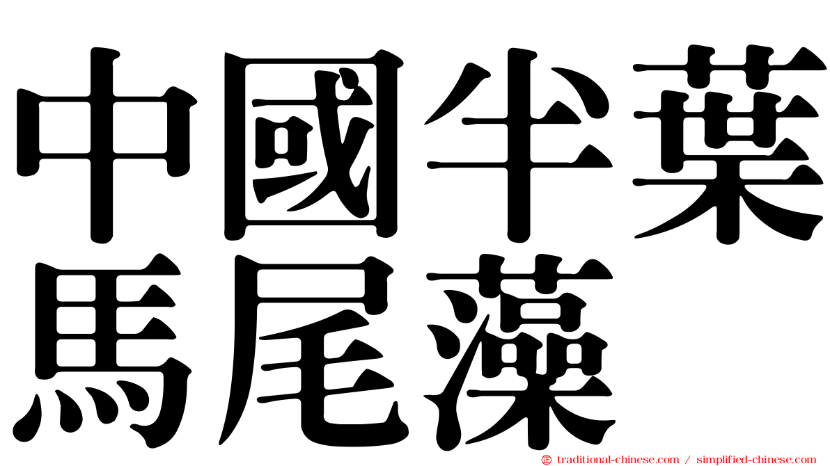 中國半葉馬尾藻