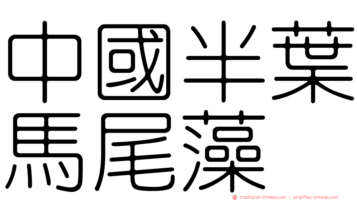 中國半葉馬尾藻