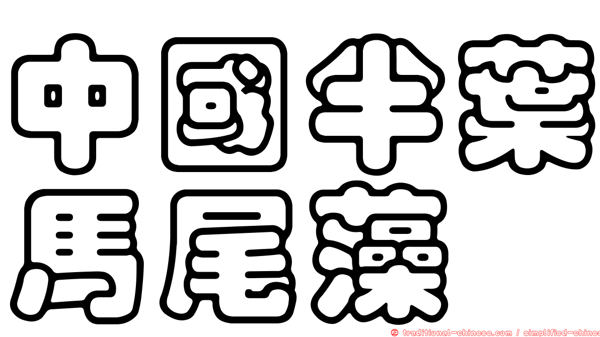 中國半葉馬尾藻