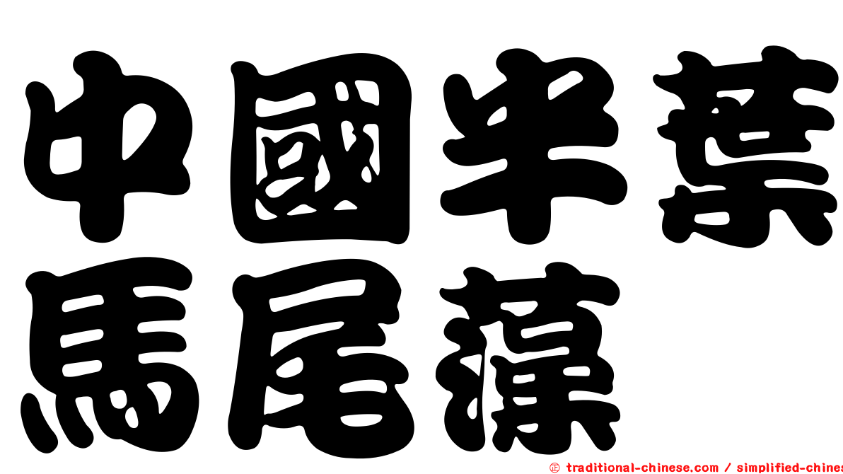 中國半葉馬尾藻