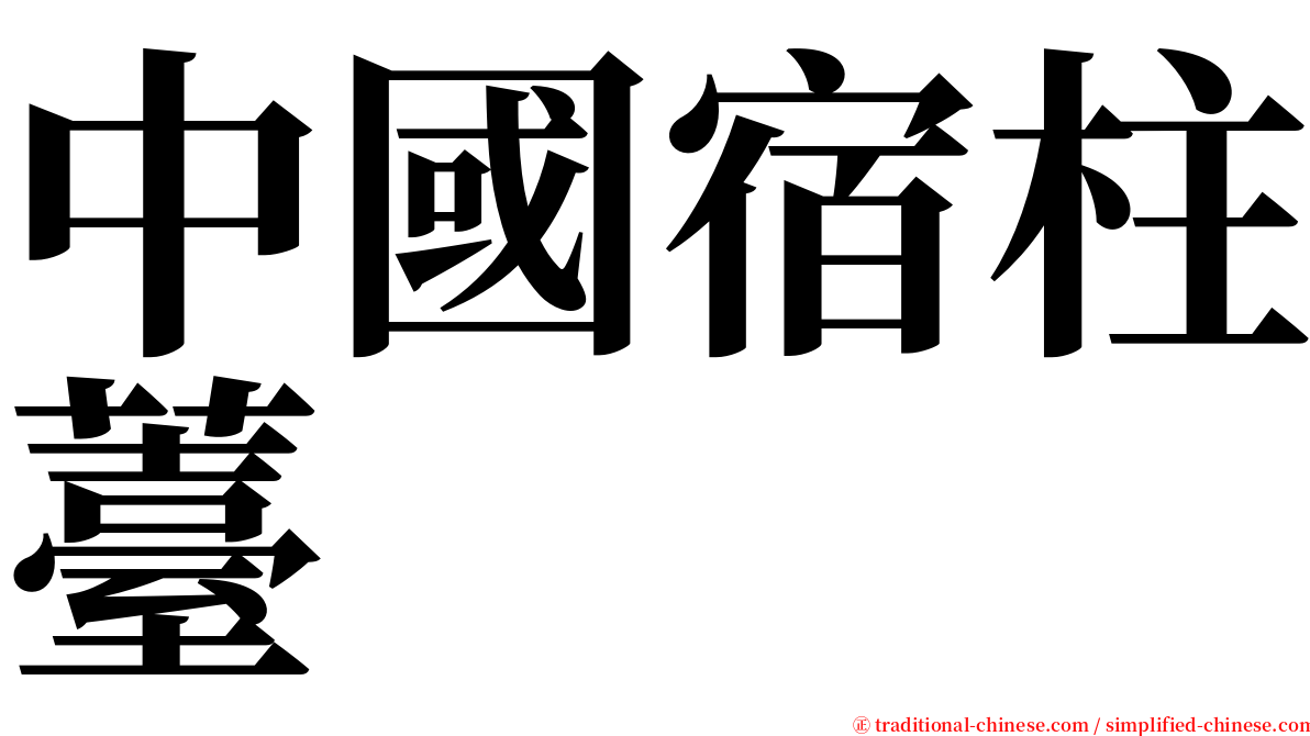 中國宿柱薹 serif font