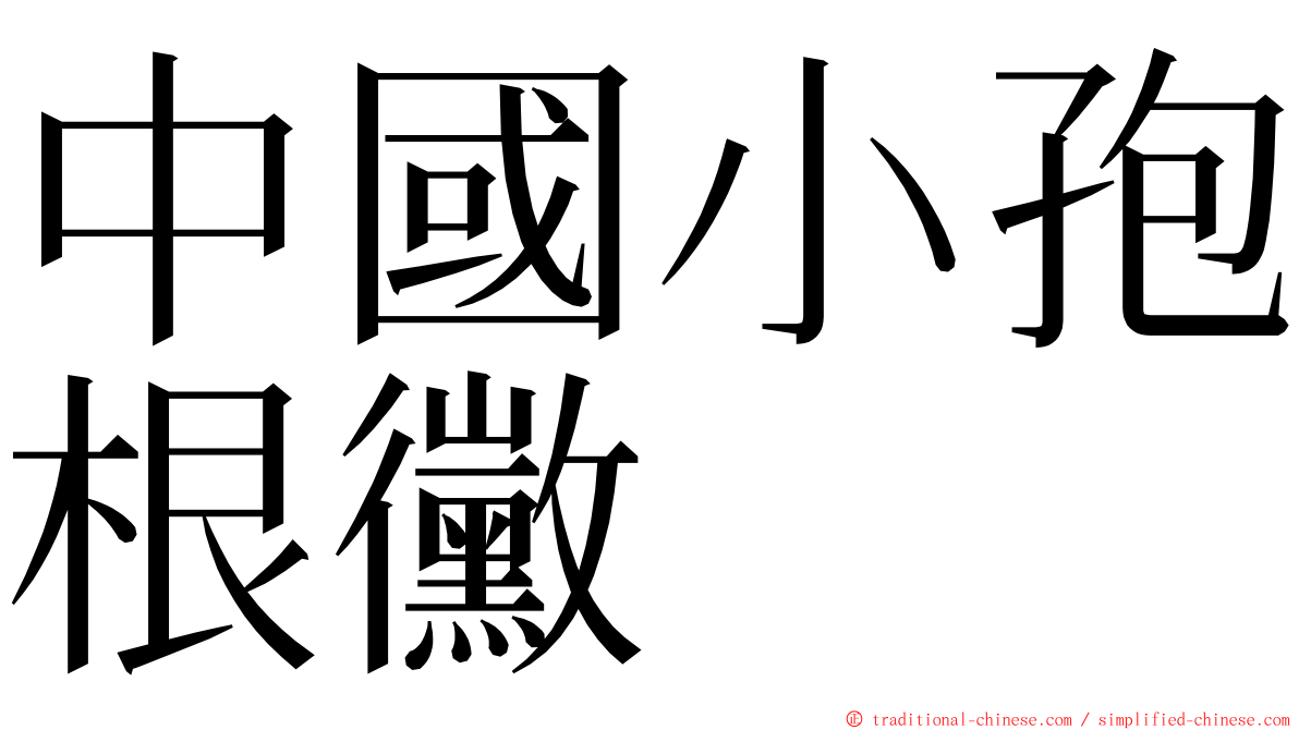 中國小孢根黴 ming font