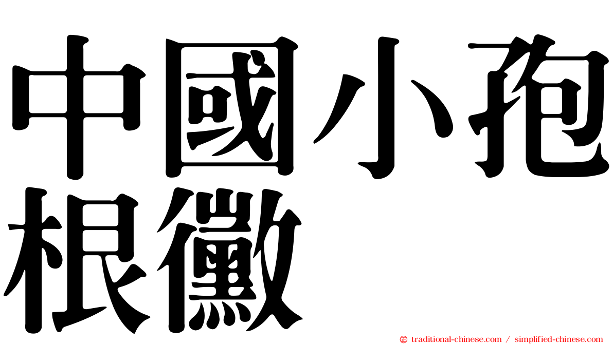 中國小孢根黴