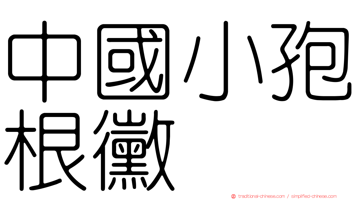 中國小孢根黴