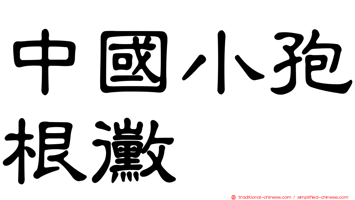 中國小孢根黴