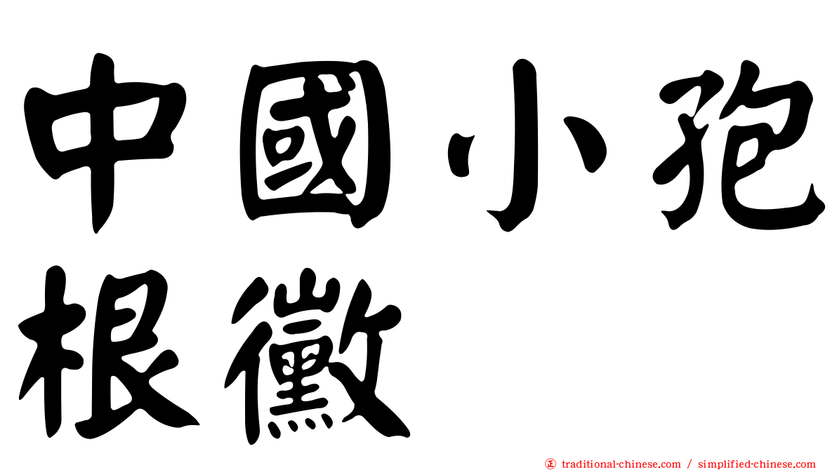 中國小孢根黴