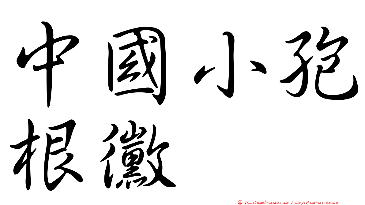 中國小孢根黴