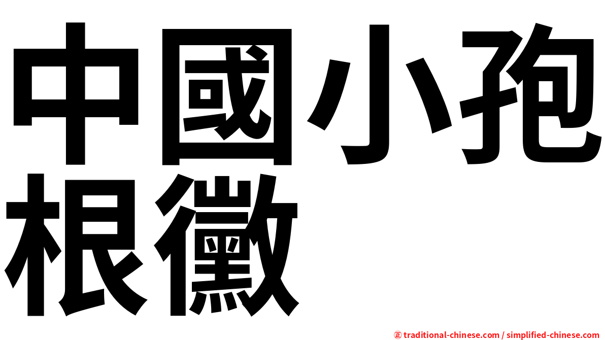 中國小孢根黴