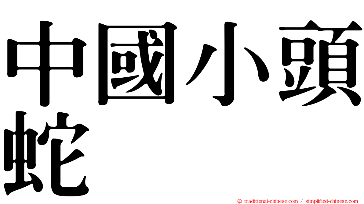 中國小頭蛇