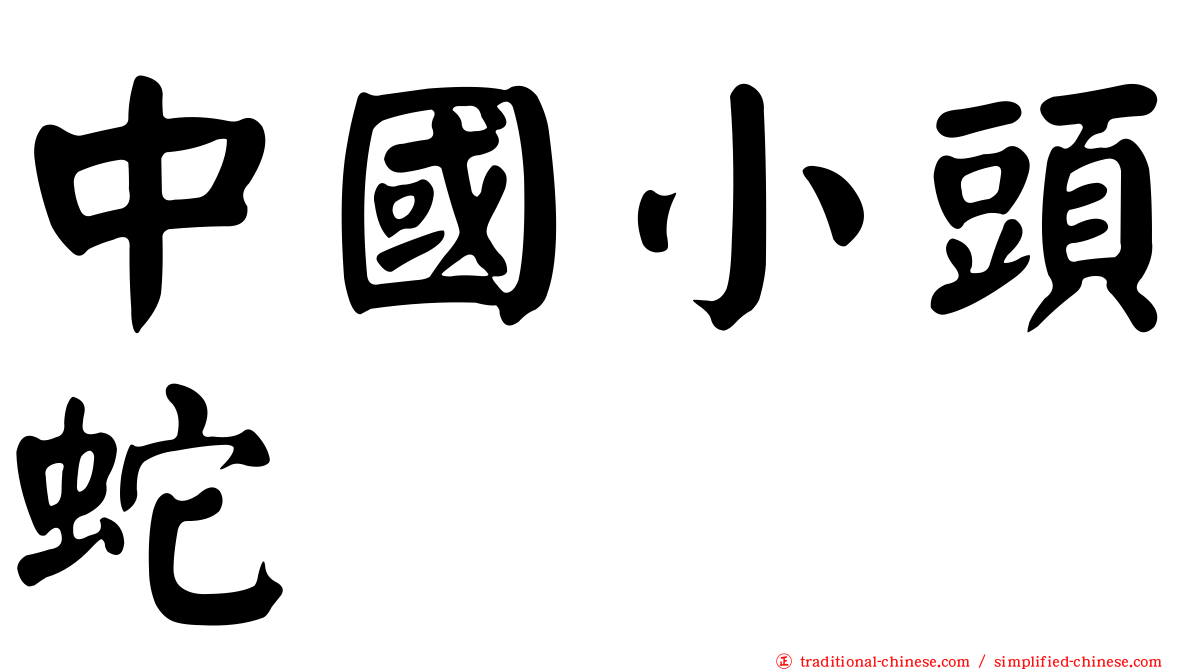 中國小頭蛇