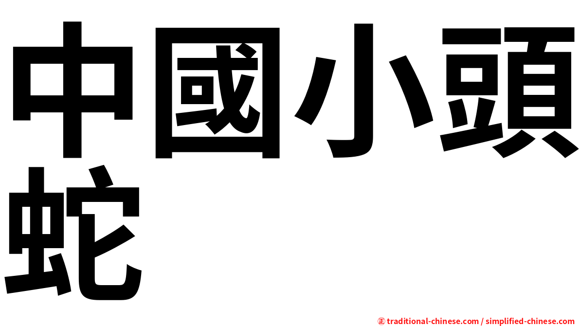 中國小頭蛇