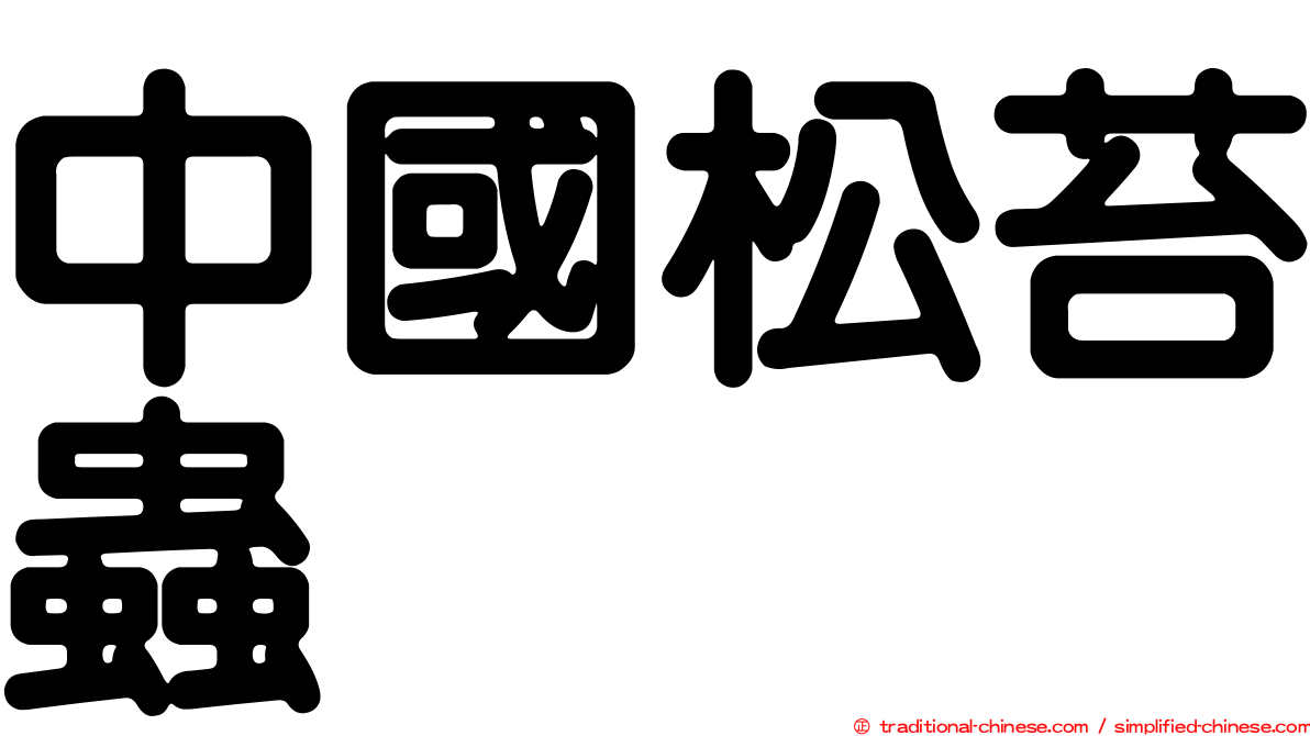 中國松苔蟲