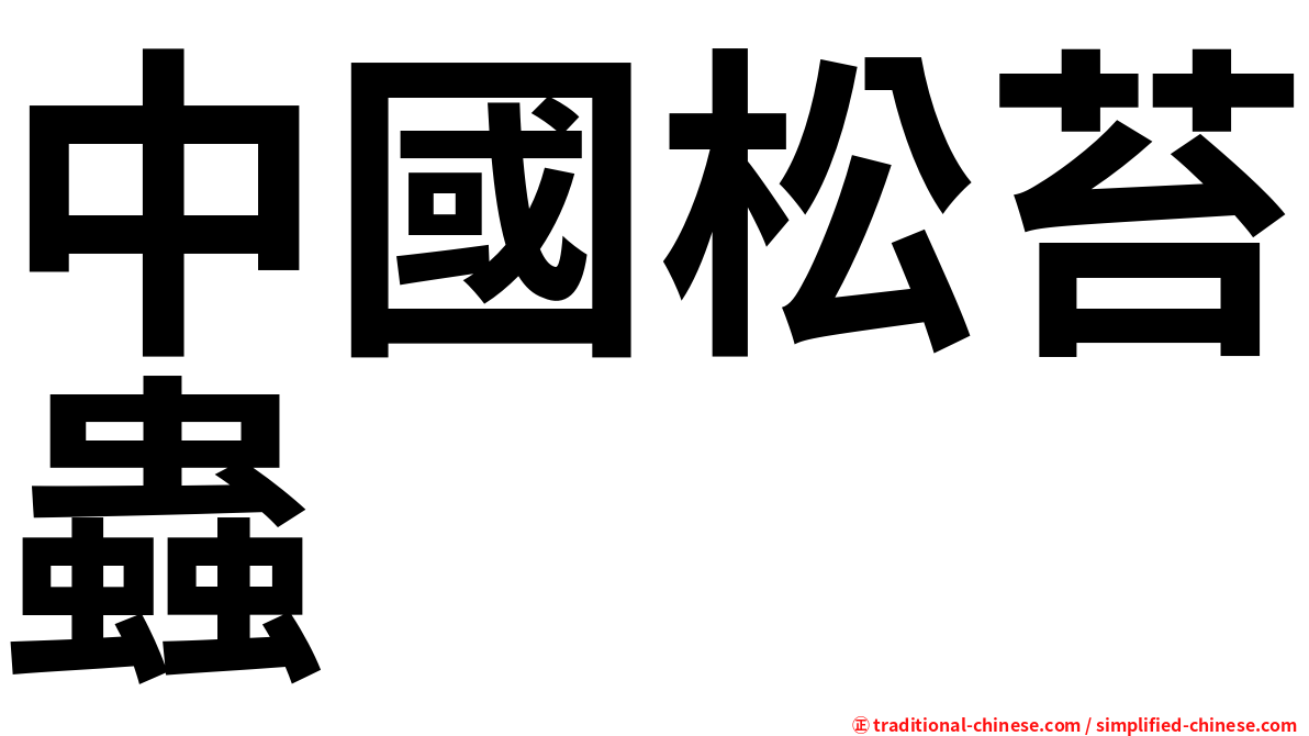 中國松苔蟲