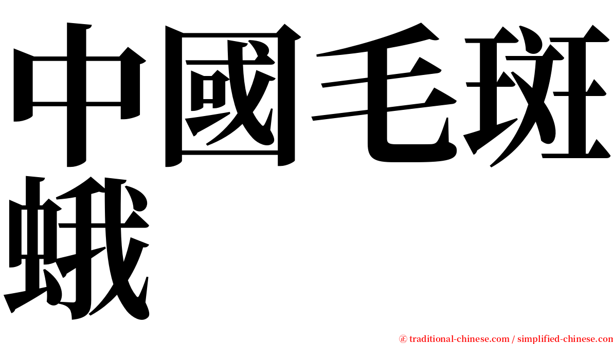 中國毛斑蛾 serif font