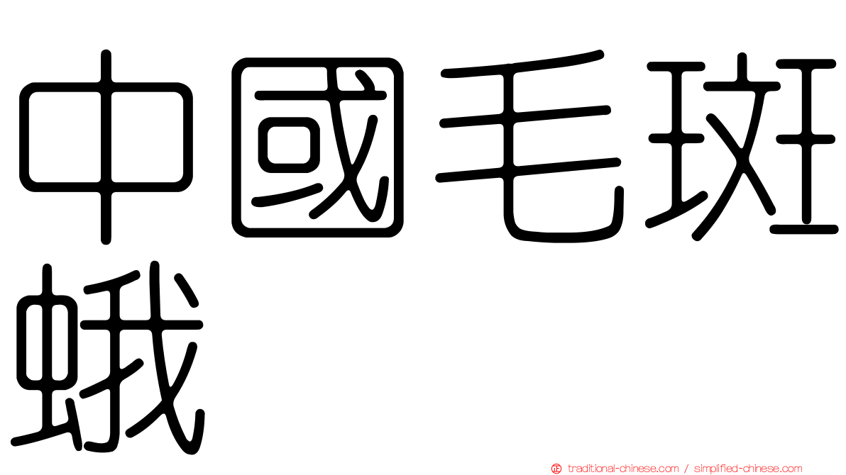 中國毛斑蛾
