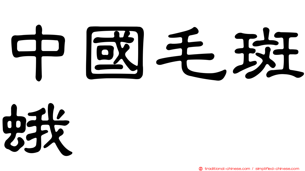 中國毛斑蛾