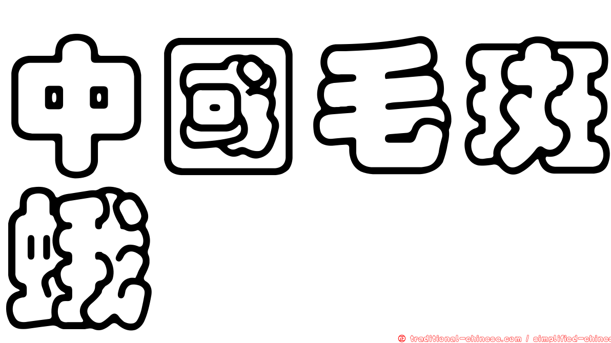 中國毛斑蛾