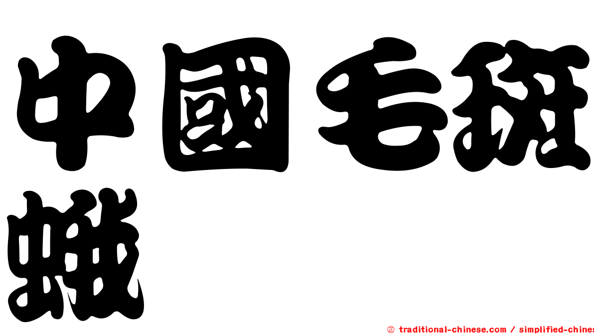 中國毛斑蛾