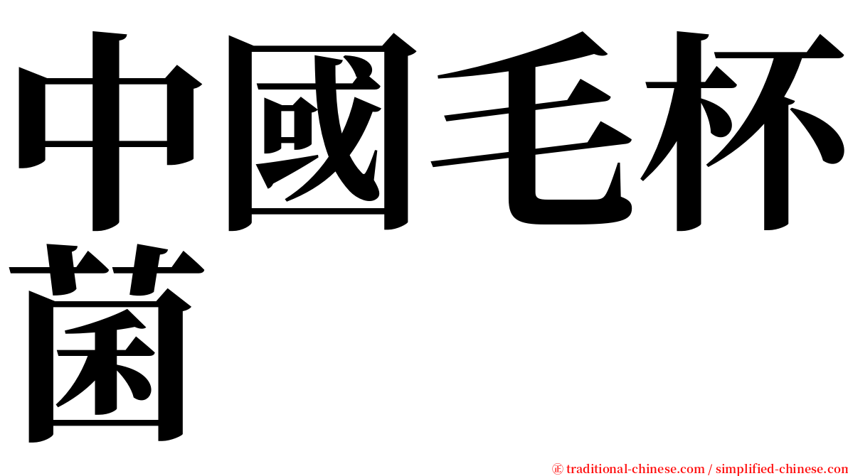 中國毛杯菌 serif font