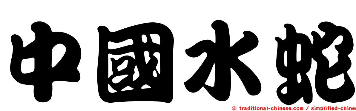 中國水蛇