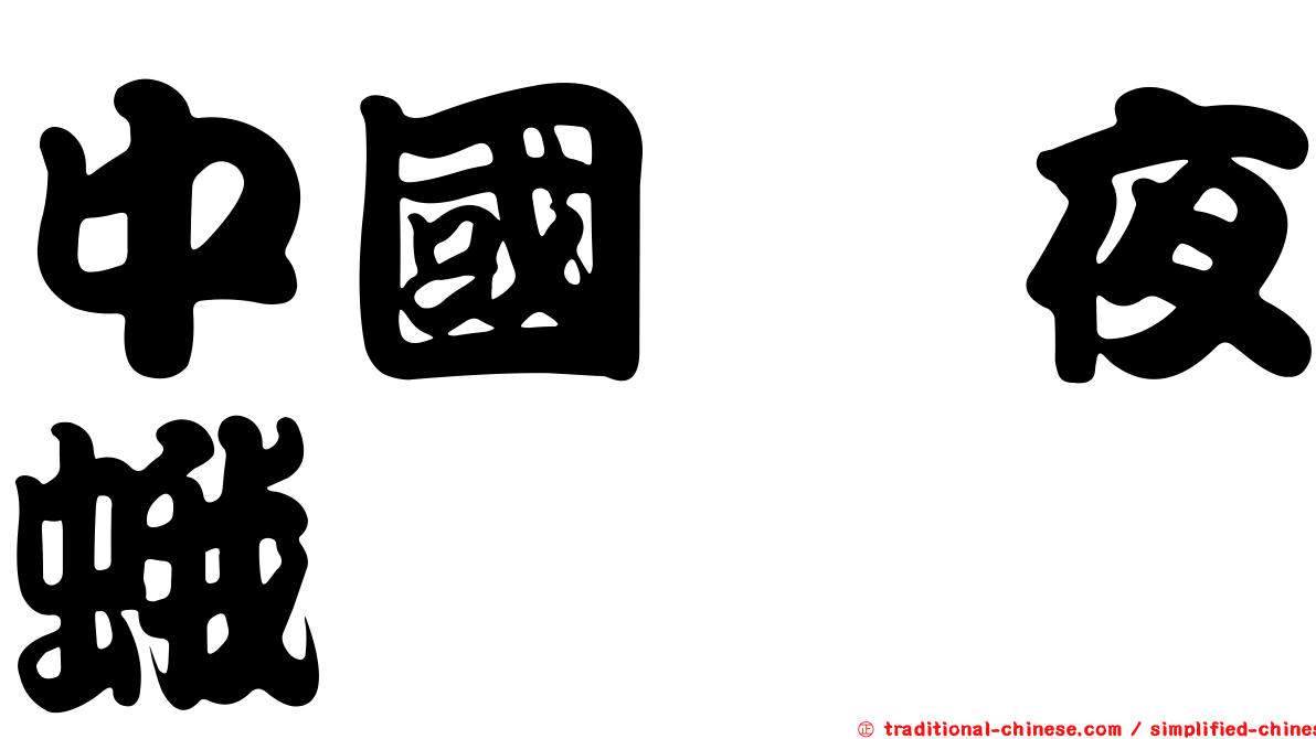 中國湡夜蛾
