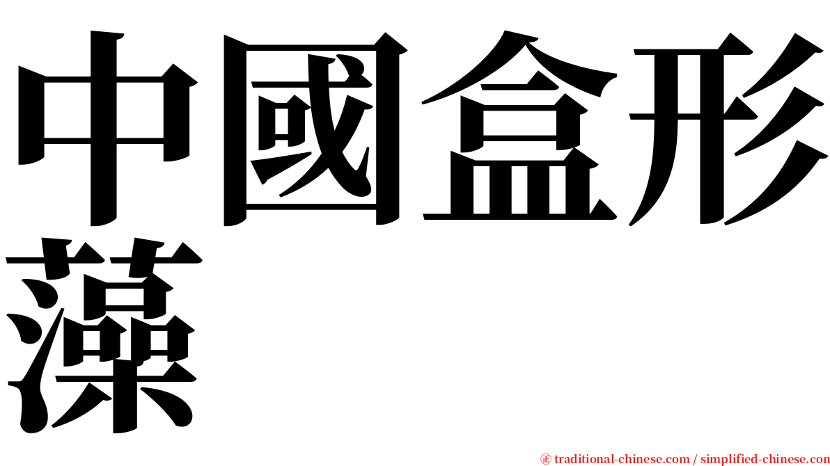 中國盒形藻 serif font