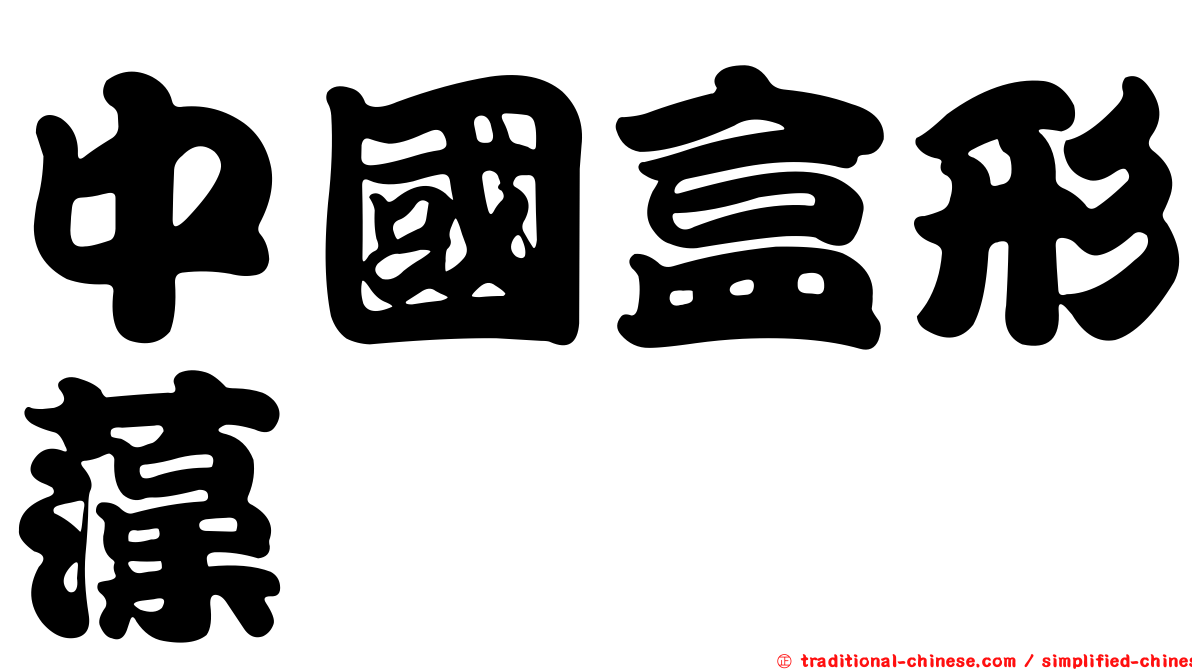 中國盒形藻