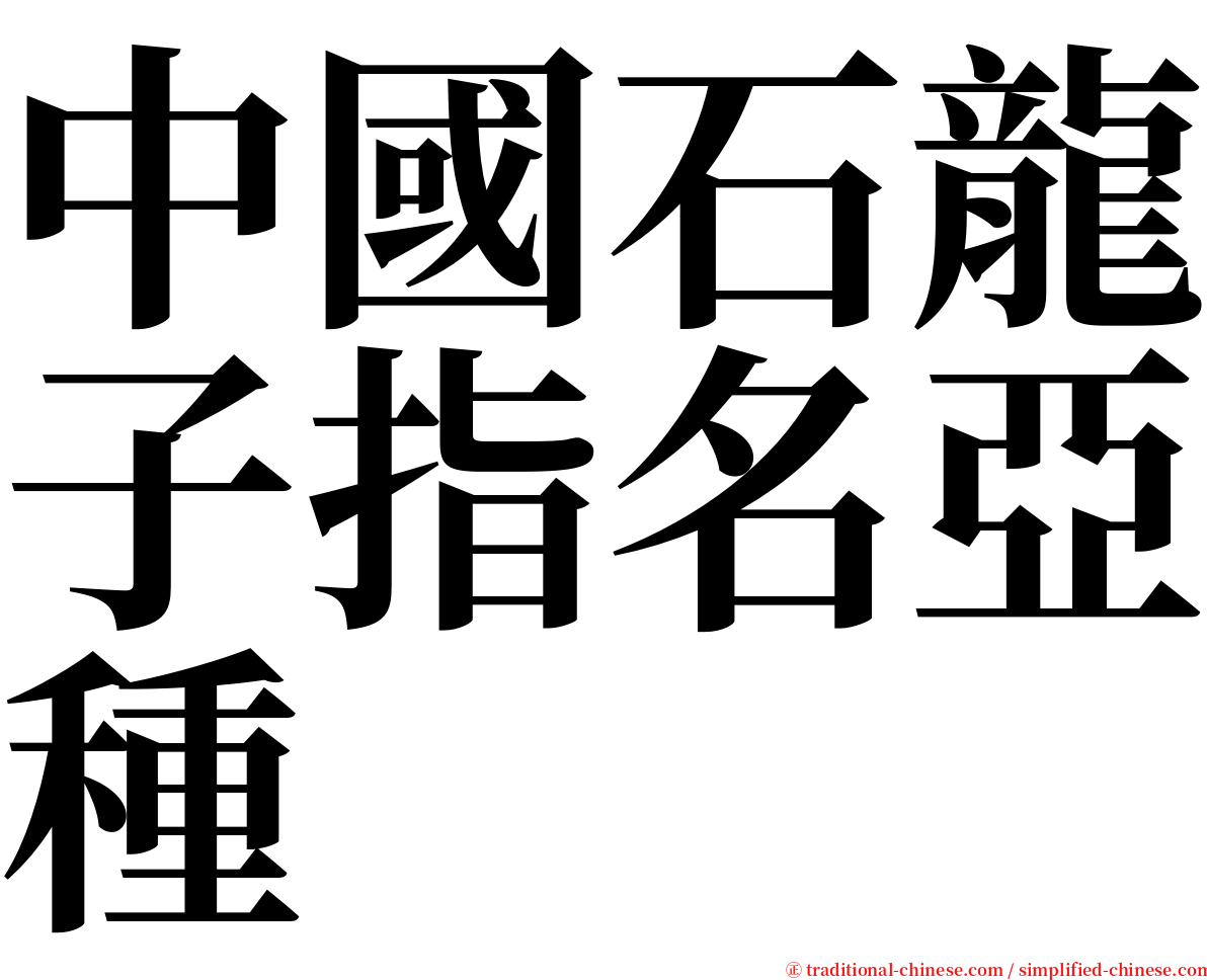 中國石龍子指名亞種 serif font