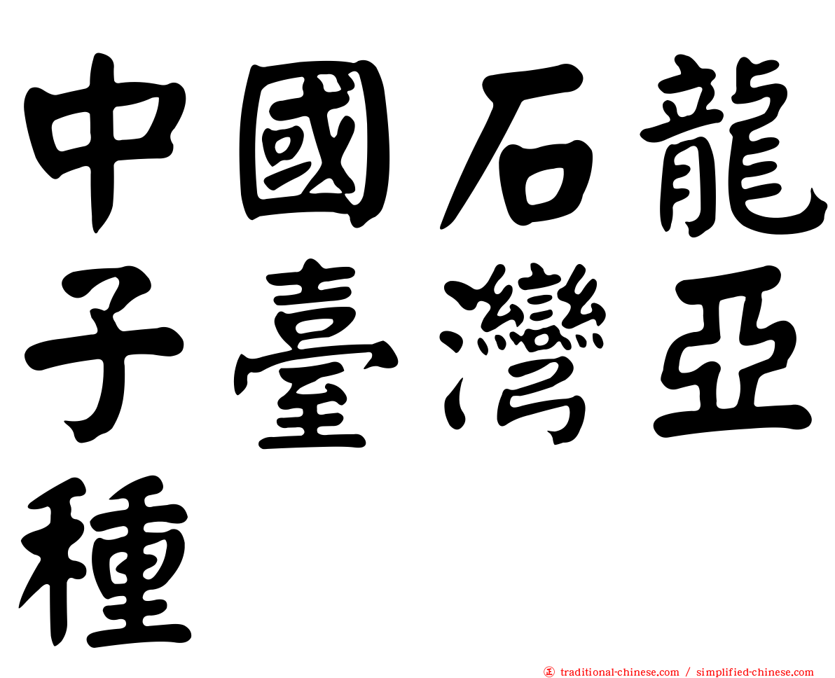 中國石龍子臺灣亞種