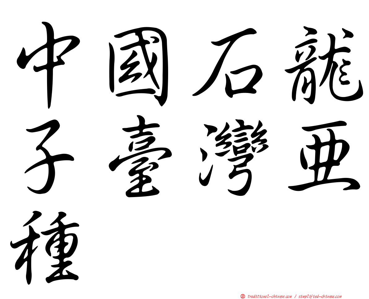 中國石龍子臺灣亞種