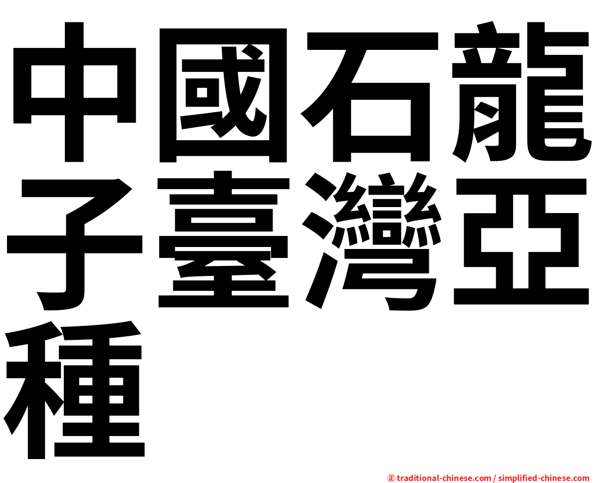 中國石龍子臺灣亞種