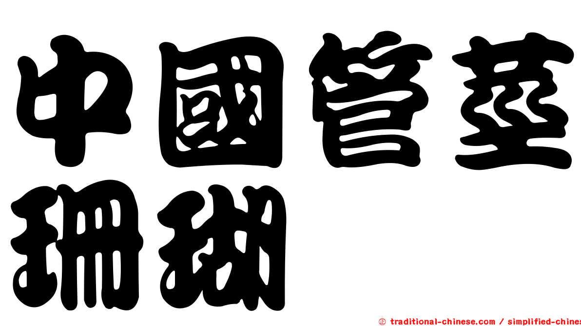 中國管莖珊瑚