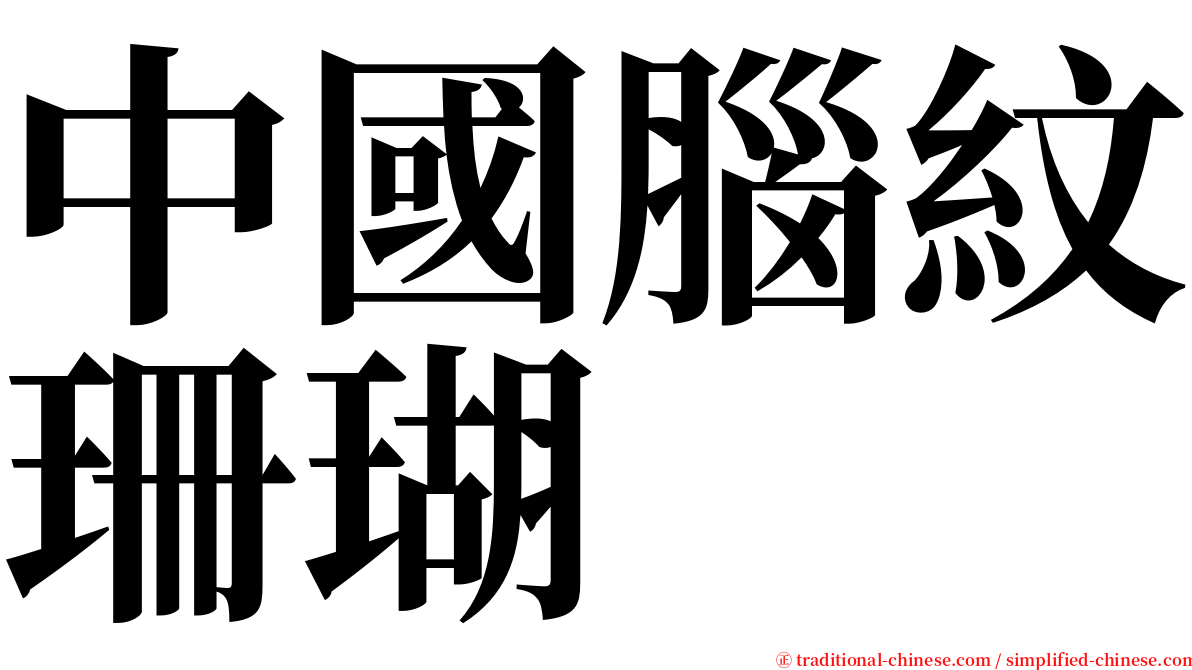 中國腦紋珊瑚 serif font