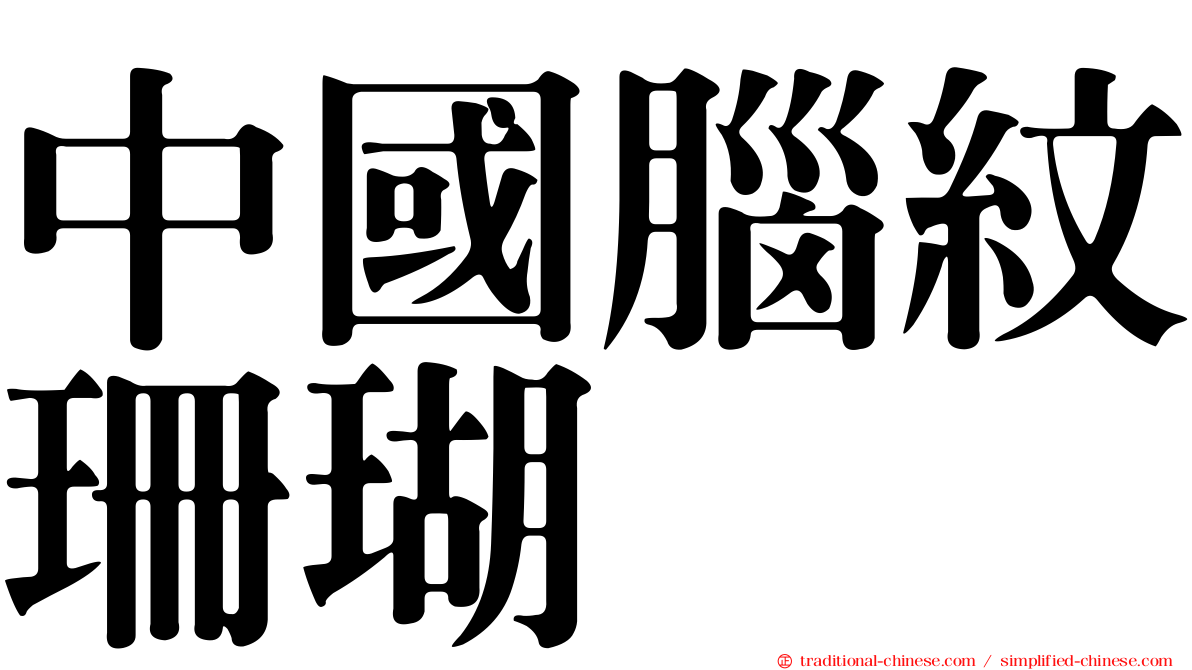 中國腦紋珊瑚
