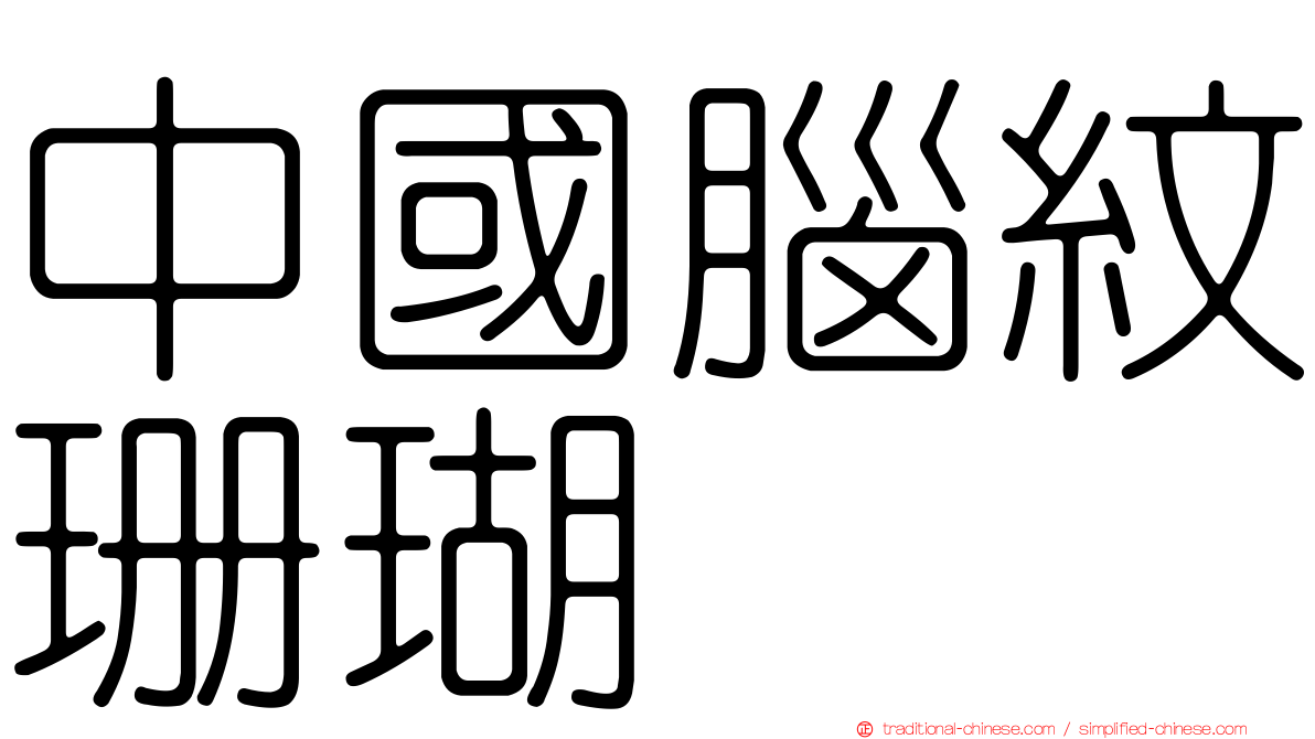 中國腦紋珊瑚
