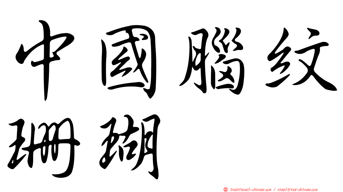 中國腦紋珊瑚