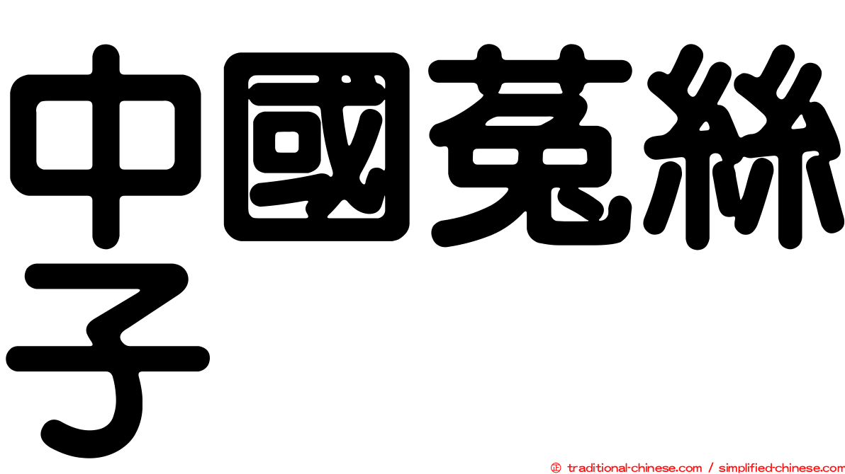 中國菟絲子
