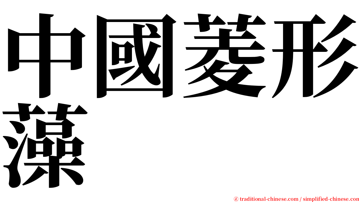 中國菱形藻 serif font