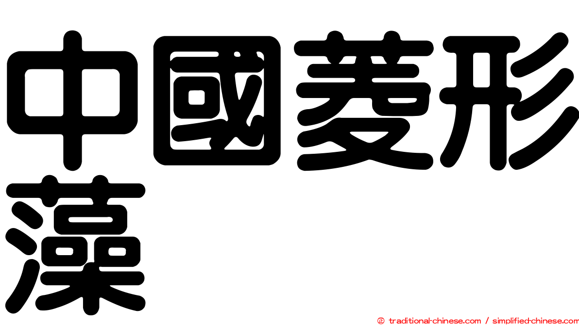 中國菱形藻